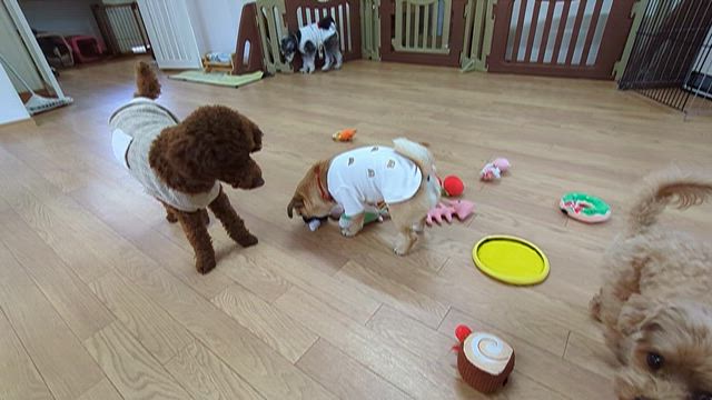 2026/2/16の記事動画
