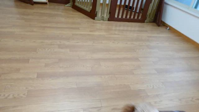 2024/04/09の記事動画