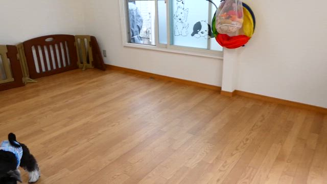 2024/4/30の記事動画