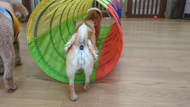 2026/3/3の記事動画