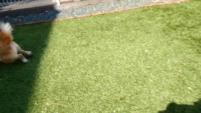 2024/3/16の記事動画