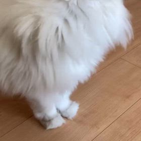 2024/07/04の画像