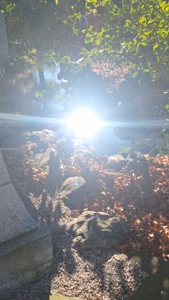 秩父今宮神社と秩父美術館の記事動画