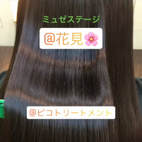 ピコトリートメントの画像