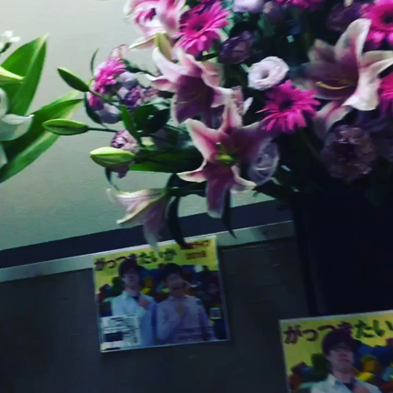 がっつきたいかさん単独の記事動画