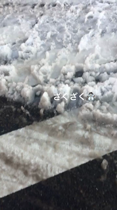 雪の記事動画