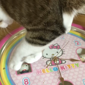 それ、取れないよ(￣▽￣)の画像