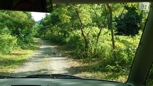 今年２度目の東北遠征(高山帯の苦行。)の記事動画