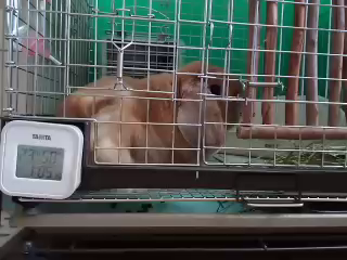 海の日のことの記事動画