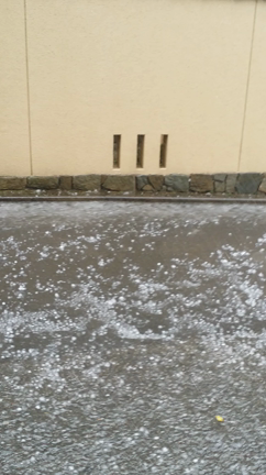 地球は怒っていた!!!の記事動画