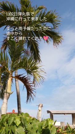 1月末に沖縄♥本編の記事動画