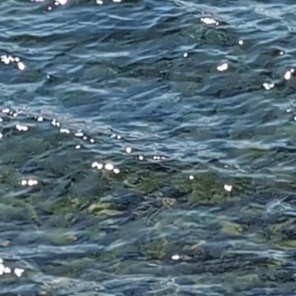 今年のお盆その1　写活 at 湖北の記事動画