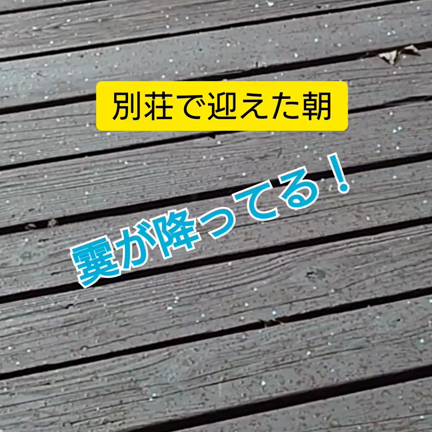 2023/11/13の記事動画