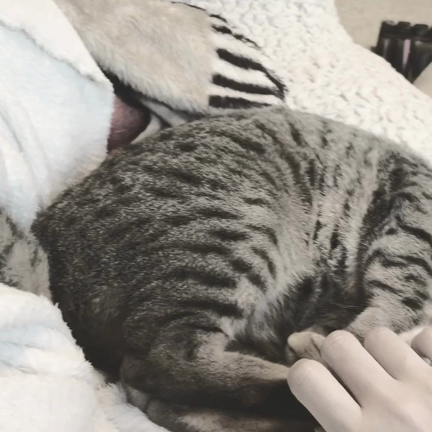 新スポット発見の記事動画
