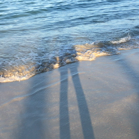 心が解れる ハワイ動画の画像