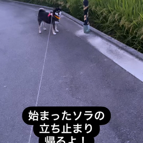 2023/09/30の画像