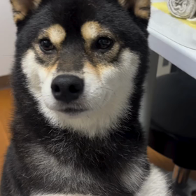 2023/11/10の画像
