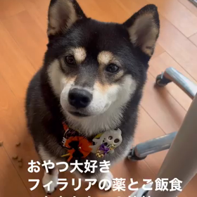 2023/10/24の画像