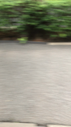 彼女も爆睡の季節。の記事動画