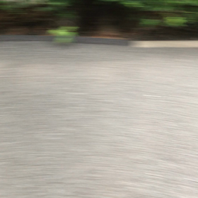 彼女も爆睡の季節。の画像