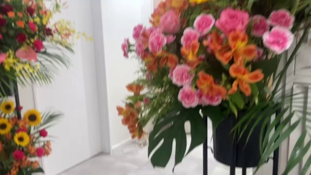 姉のエステサロン新店舗オープンの日でした❢の記事動画