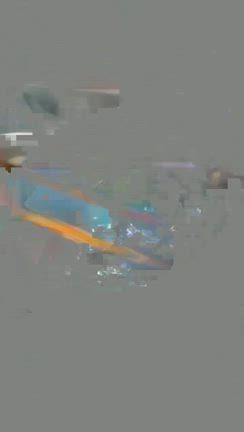 三陸産の新わかめの記事動画