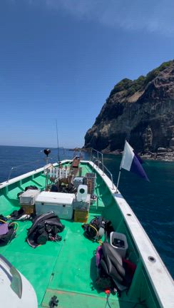 ダイビング休憩中にイルカに遭遇の記事動画