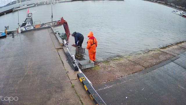 2月の状況のまとめの記事動画