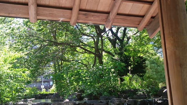 ココは広小路伏見あたり。の記事動画