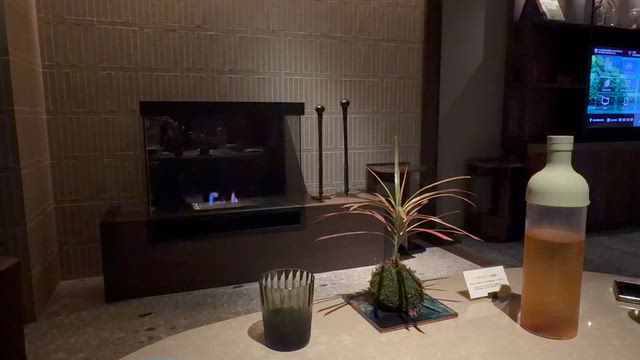 軽井沢旅行⑥ふふ旧軽井沢　静養の森 夕食の記事動画
