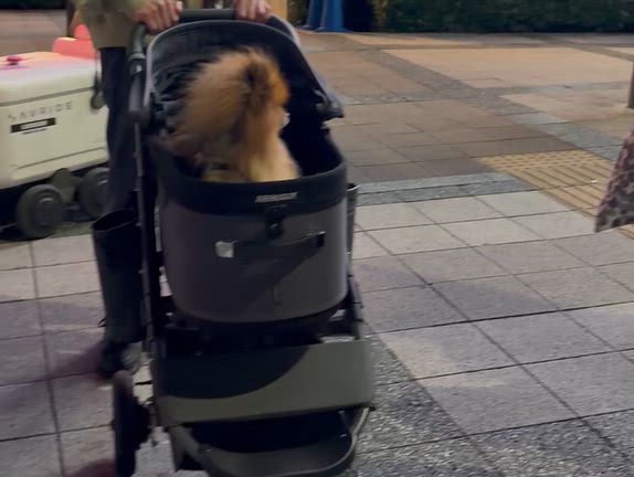 アフタヌーンティー♡親友たちとの再会の記事動画
