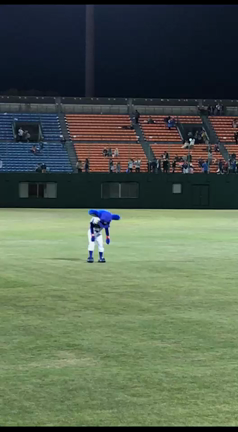 この前の観戦の記事動画