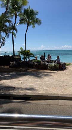 小さな幸せ✨✨282の記事動画