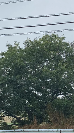 小さな幸せ☆★☆274の記事動画