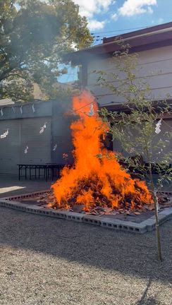 楽しいご朱印会♡の記事動画