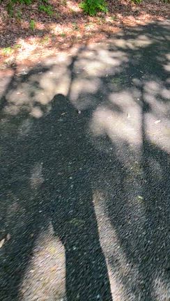 朝から夕方への記事動画