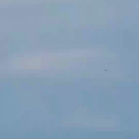 これって❗の画像