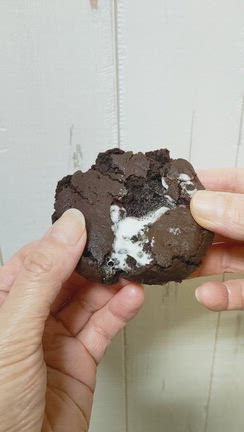 マシュマロハマり中の記事動画