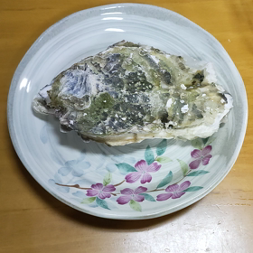 レンチンで牡蠣の画像