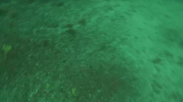 シマアジ狙いでいざ出船の記事動画