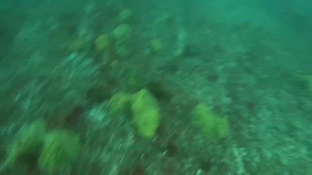 シマアジ狙いでいざ出船の記事動画