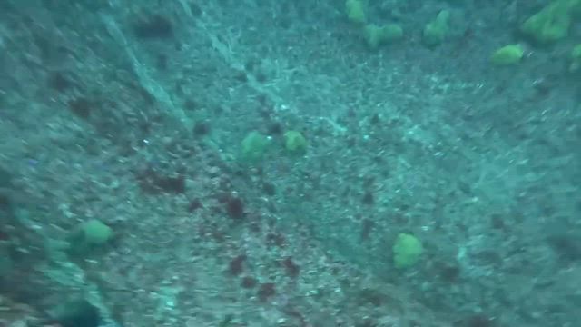 シマアジ狙いでいざ出船の記事動画