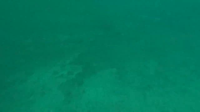 シマアジ狙いでいざ出船の記事動画