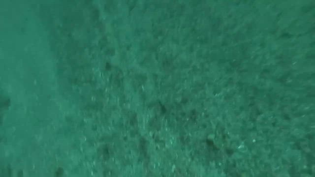 シマアジ狙いでいざ出船の記事動画