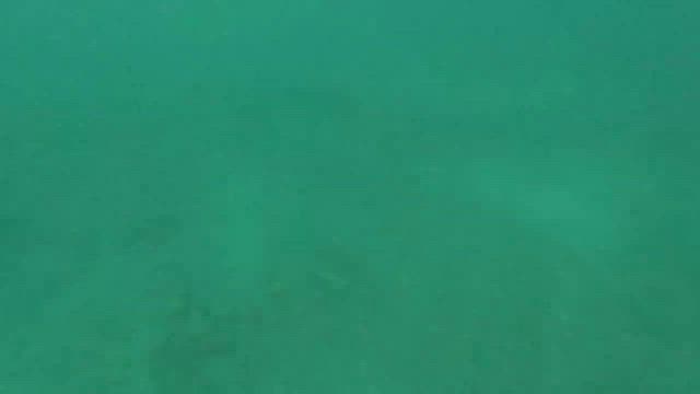 シマアジ狙いでいざ出船の記事動画