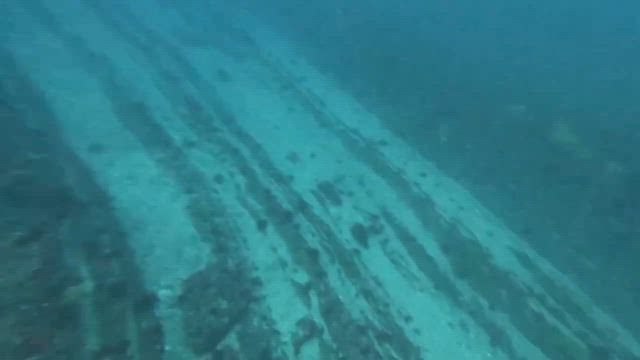 シマアジ狙いでいざ出船の記事動画