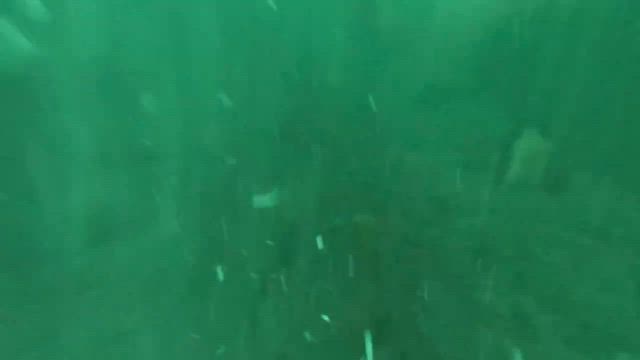 シマアジ狙いでいざ出船の記事動画