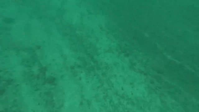 シマアジ狙いでいざ出船の記事動画