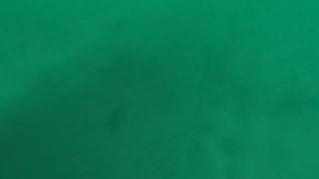 シマアジ狙いでいざ出船の記事動画