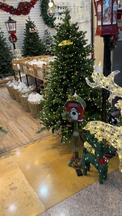 10月の韓国早くもクリスマスと可愛い韓国ダイソー購入品の記事動画
